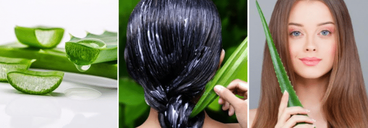 imagens da planta da babosa e de mulheres hidratando o cabelo com ela